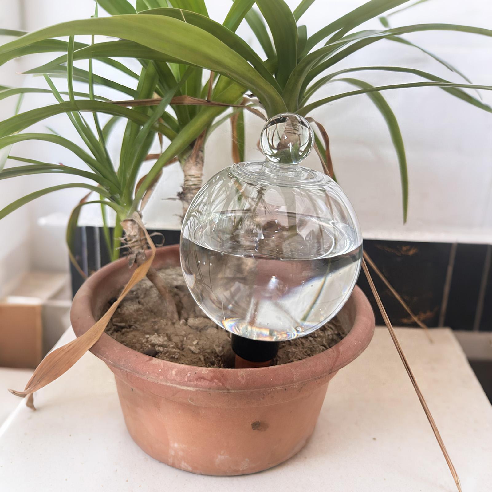 Bulbes d'arrosage automatiques - Automatic Plant Waterer avis et prix