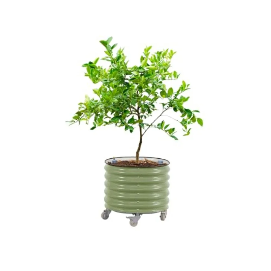 Pot à plantes roulant pour agr - Self-Watering Planter avis et prix