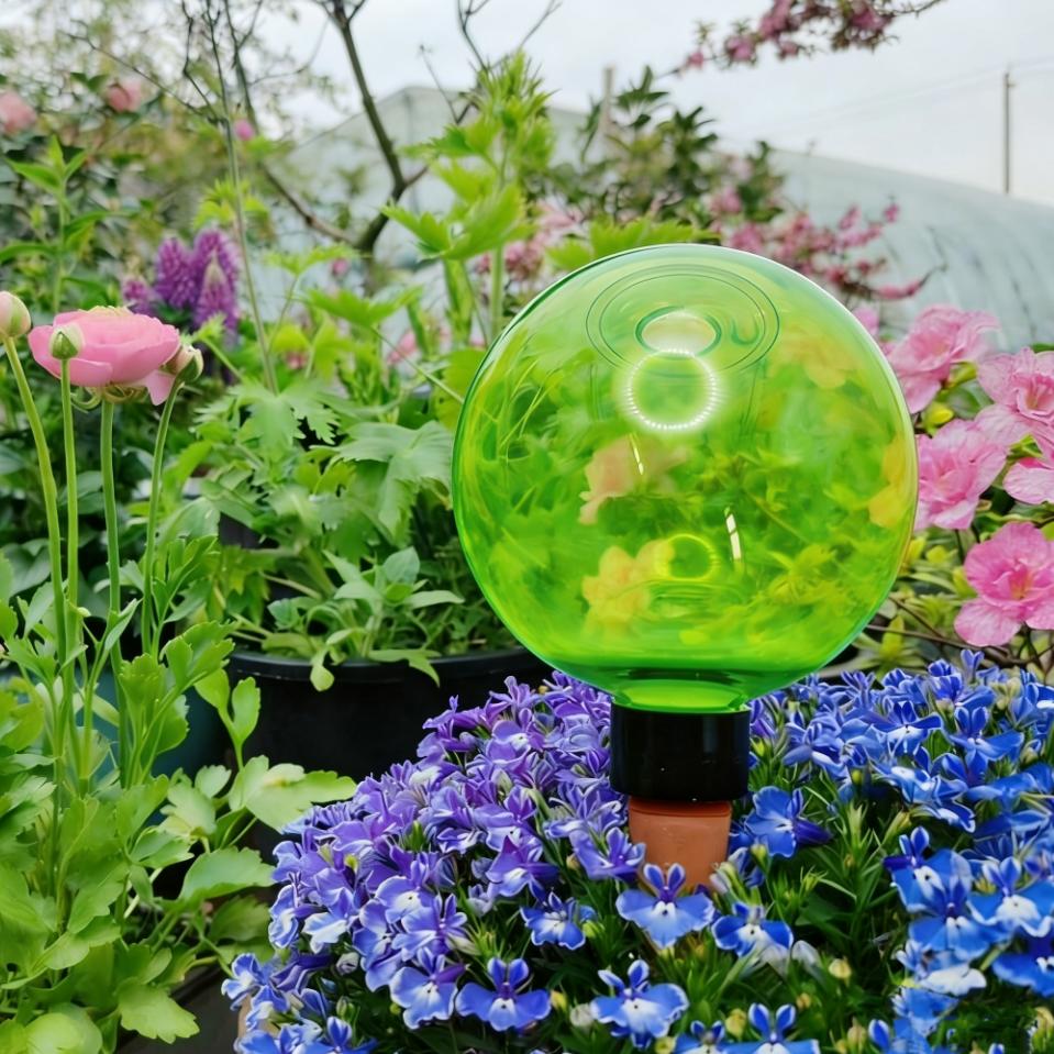 3 globes d'arrosage automatiqu - Self-Watering Planter avis et prix