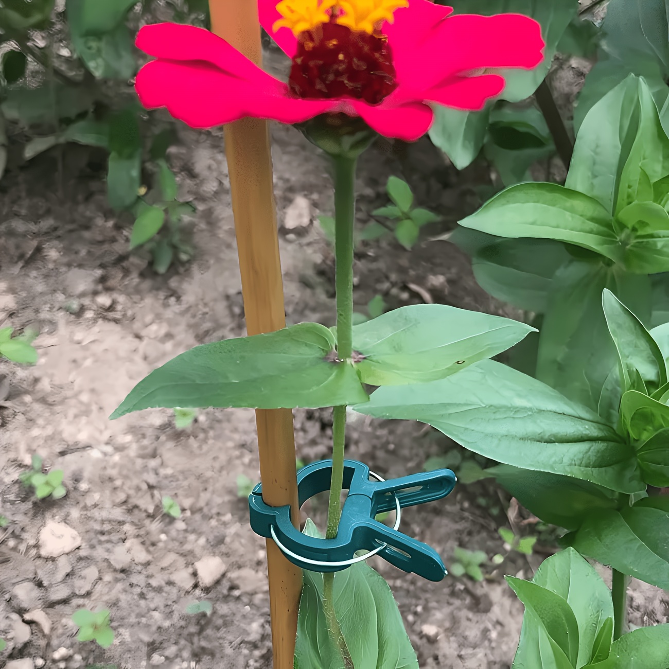 5 pinces réglables pour plante - Gardening Tools Essential avis et prix