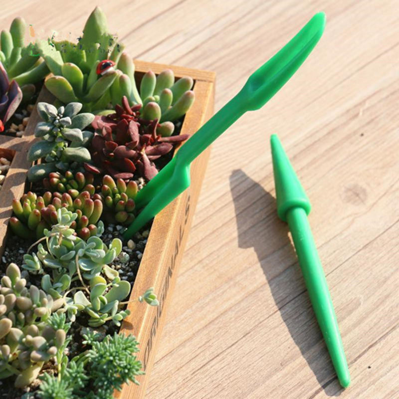 Outil de plantation de levage  - Spade Digging Fork avis et prix