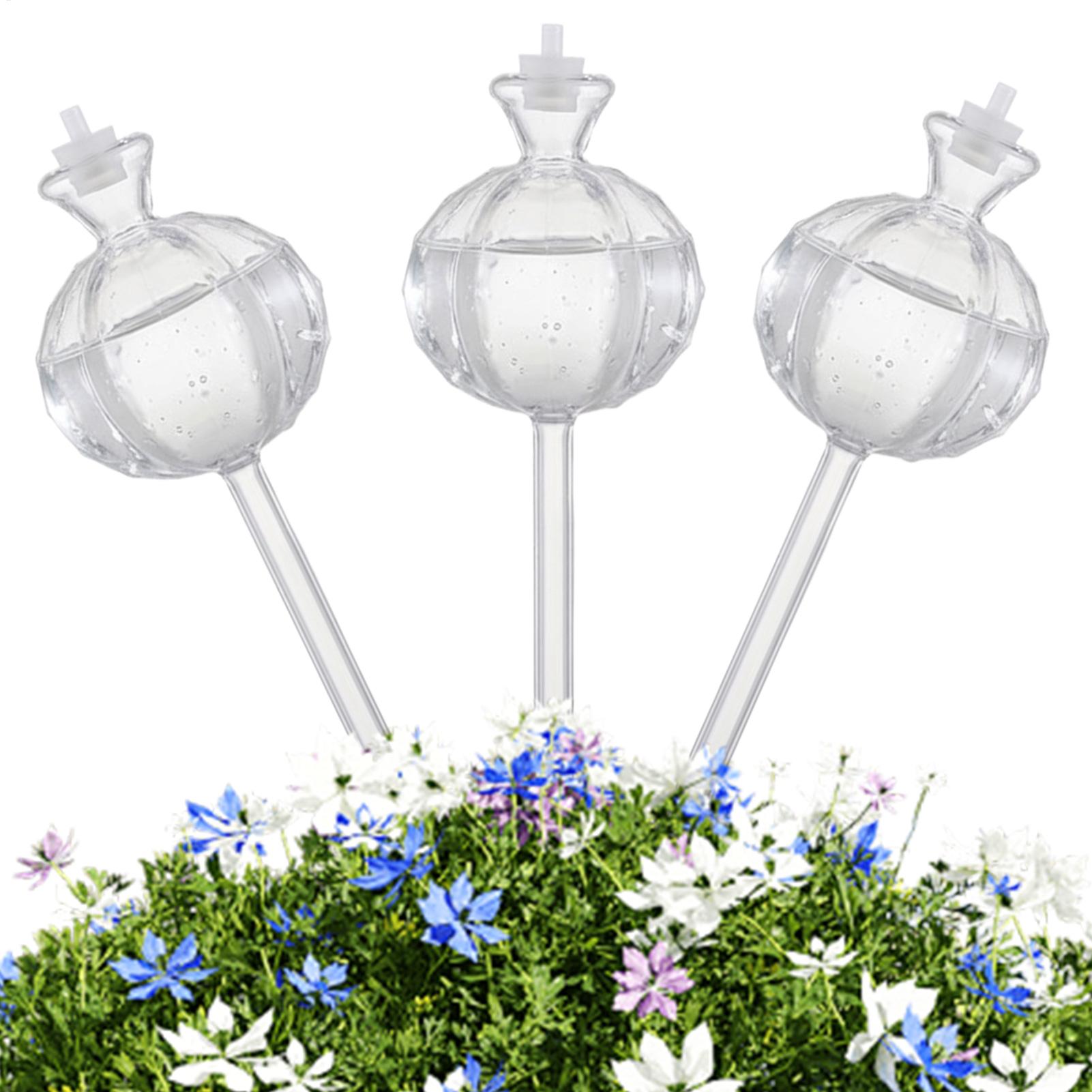 Globes d'arrosage pour plantes - Automatic Plant Waterer avis et prix